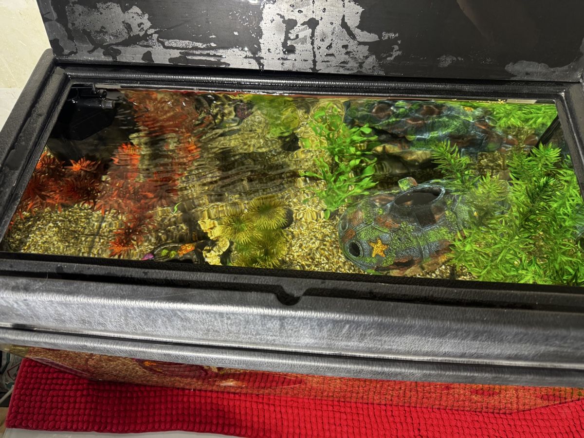 Acquari: Aquarium 60X30X30 54Liter – Difettoso da Basel venduto da bau_6tk8 5