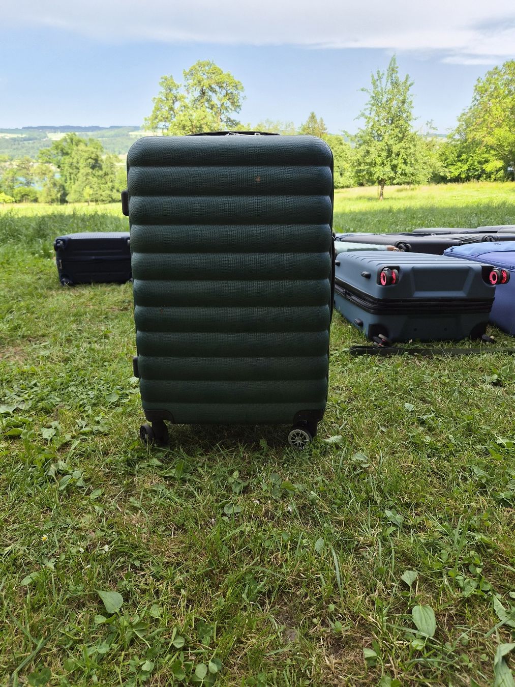 Valigie: Reisekoffer grün – Usato da Hochdorf venduto da TT_GARAGE