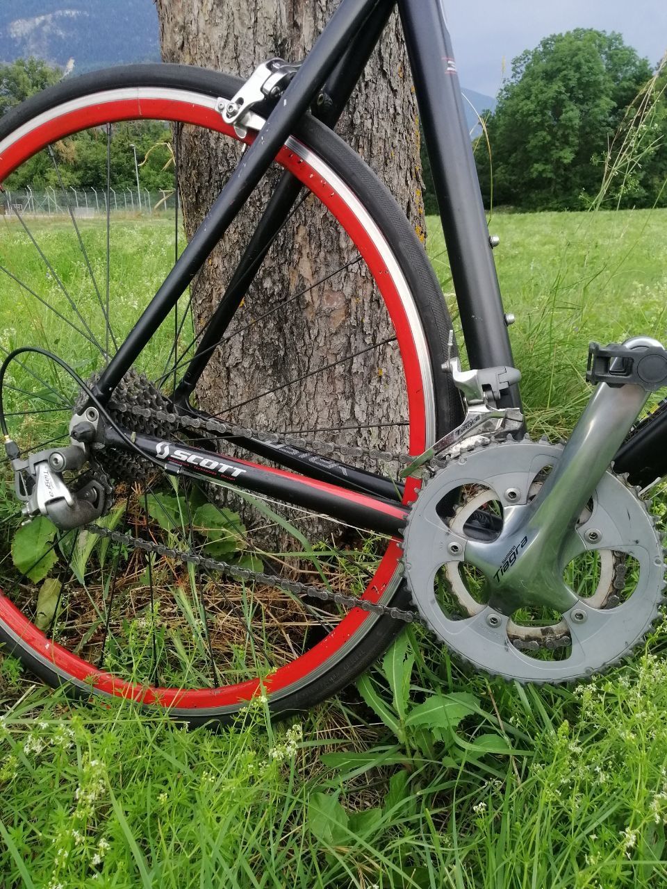 Scott Biciclette: vélo de route SCOTT Speedster 30 taille L Alusperlight – Usato da Sierre venduto da agn_ww55 3