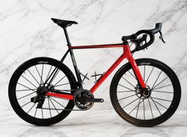 Lightweight Urgestalt Disc - 6,6kg!