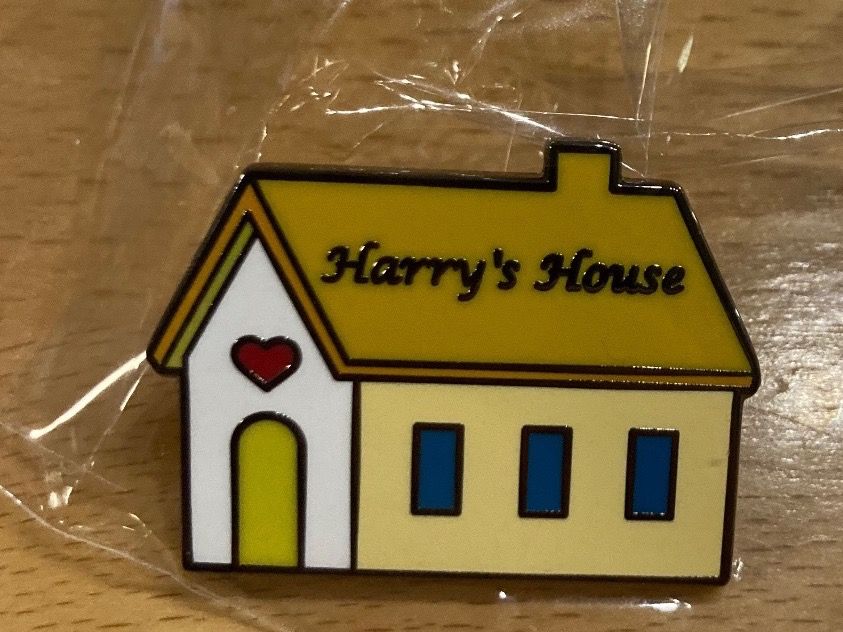 Spille & Fermagli: Harry Styles  Pin Anstecker  Pop – Nuovo (secondo la descrizione) da Horn venduto da abutre72