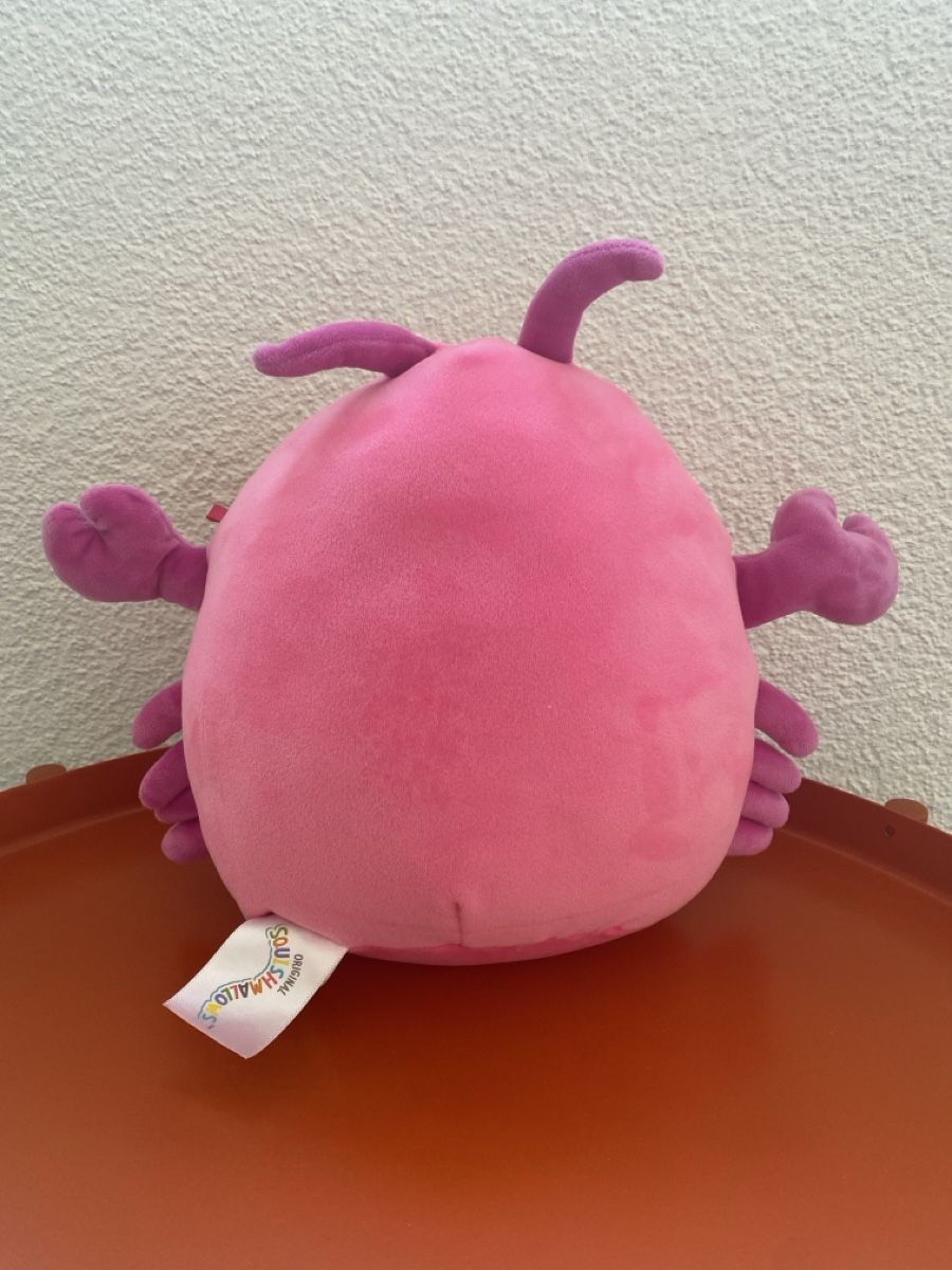 Squishmallows Giocattoli: Squishmallows Cordea Krabbe, neuwertig! – Nuovo (secondo la descrizione) da Seuzach venduto da freiheiten 2