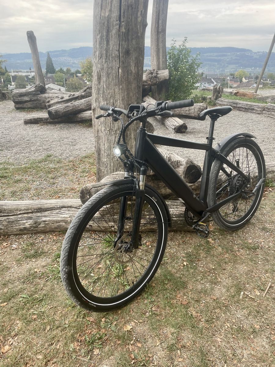 Trelago Vélos: S Pedelec/E-Mountainbike – D'occasion à Uster par FRIEDEN8610 1