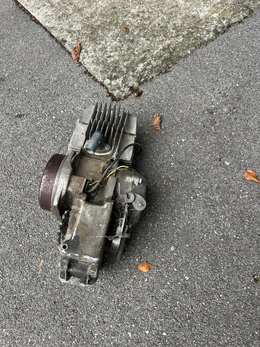 Puch Motori: Puch Maxi E50 4 Lager Motor – Usato da Krauchthal venduto da MaelVogt110 2