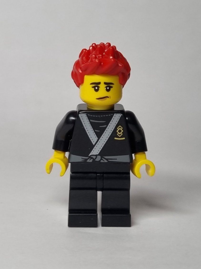 Lego Kit di costruzioni: LEGO BAM Easter 2025 Ninja with black tiger robe – Nuovo (secondo la descrizione) da Basadingen venduto da NekoBricks 1