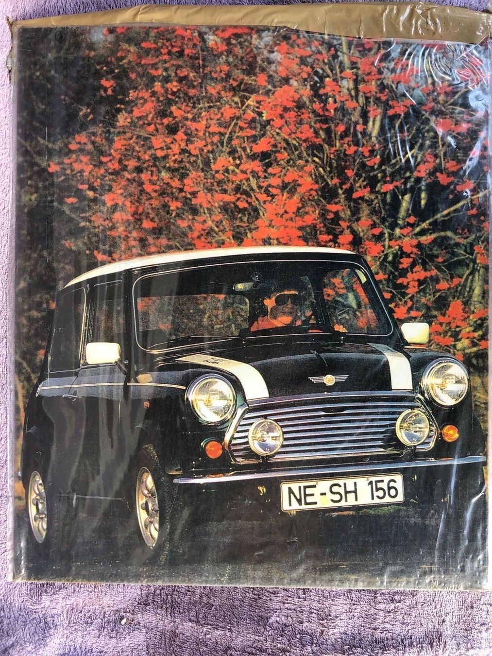 Schilder: Mini Cooper classic gb Oldtimer – Neu (gemäss Beschreibung) aus Reinach AG von rares75