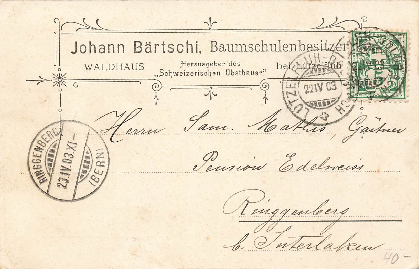Cartoline postali: Waldhaus b. Lützelfluh 1903 – Usato da Schwyz venduto da Seffi56 1