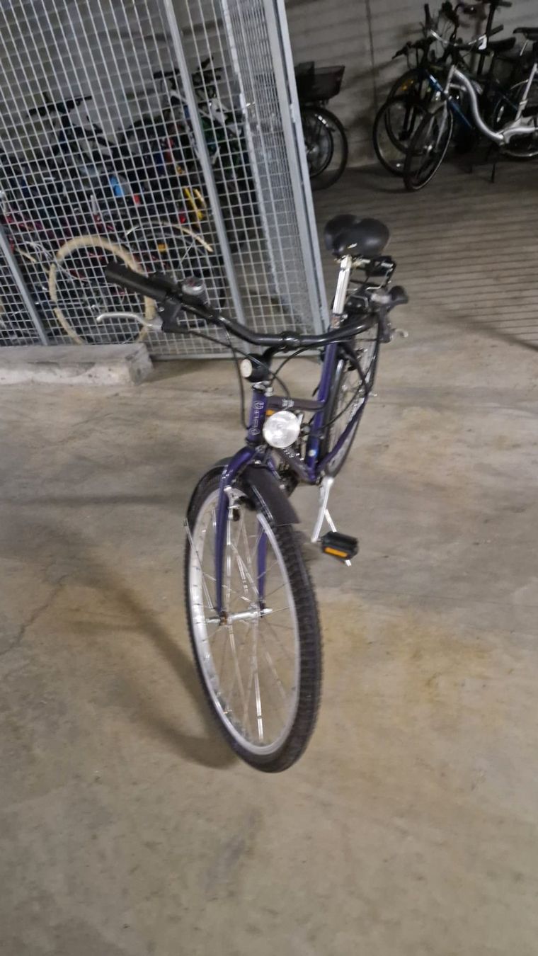 Cilo Biciclette: Damenfahrrad Clio – Difettoso da Trimbach venduto da Babsi1969 2