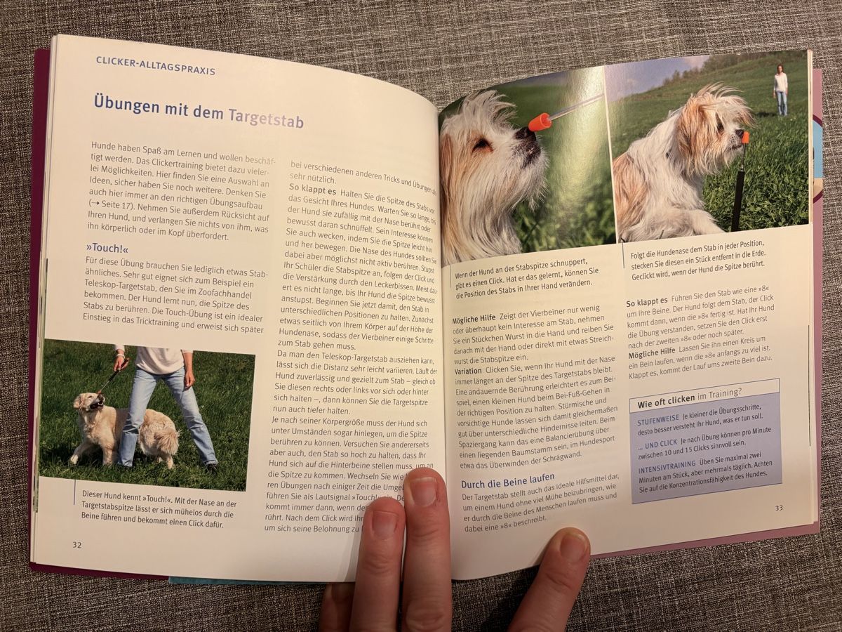 Libri: Hund, Sachbuch, Buch, Ratgeber, – Usato da Breitenbach venduto da Alice_xy 1