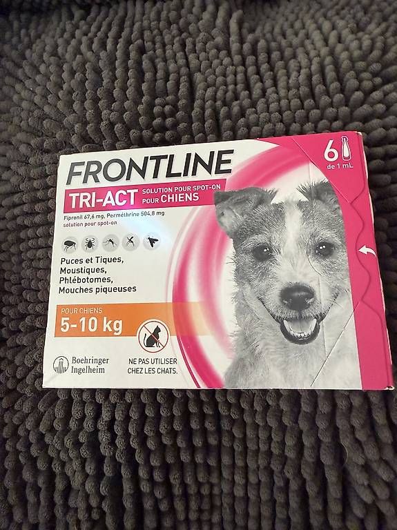 Prévention: Frontline 6 Stück – D'occasion à Kleindöttingen par mar_6t65