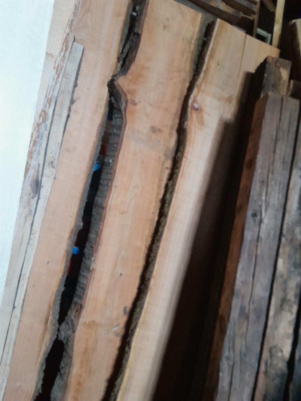 Articles en bois: kirschbaum – D'occasion à Marbach LU par san_8kt5