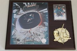 NHL Timo Meier San José Sharks