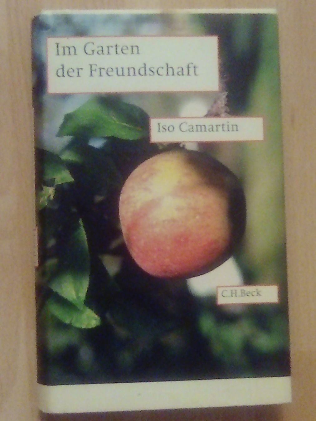 Libri: Im Garten der Freundschaft Iso Camartin – Usato da Winterthur venduto da Colonica