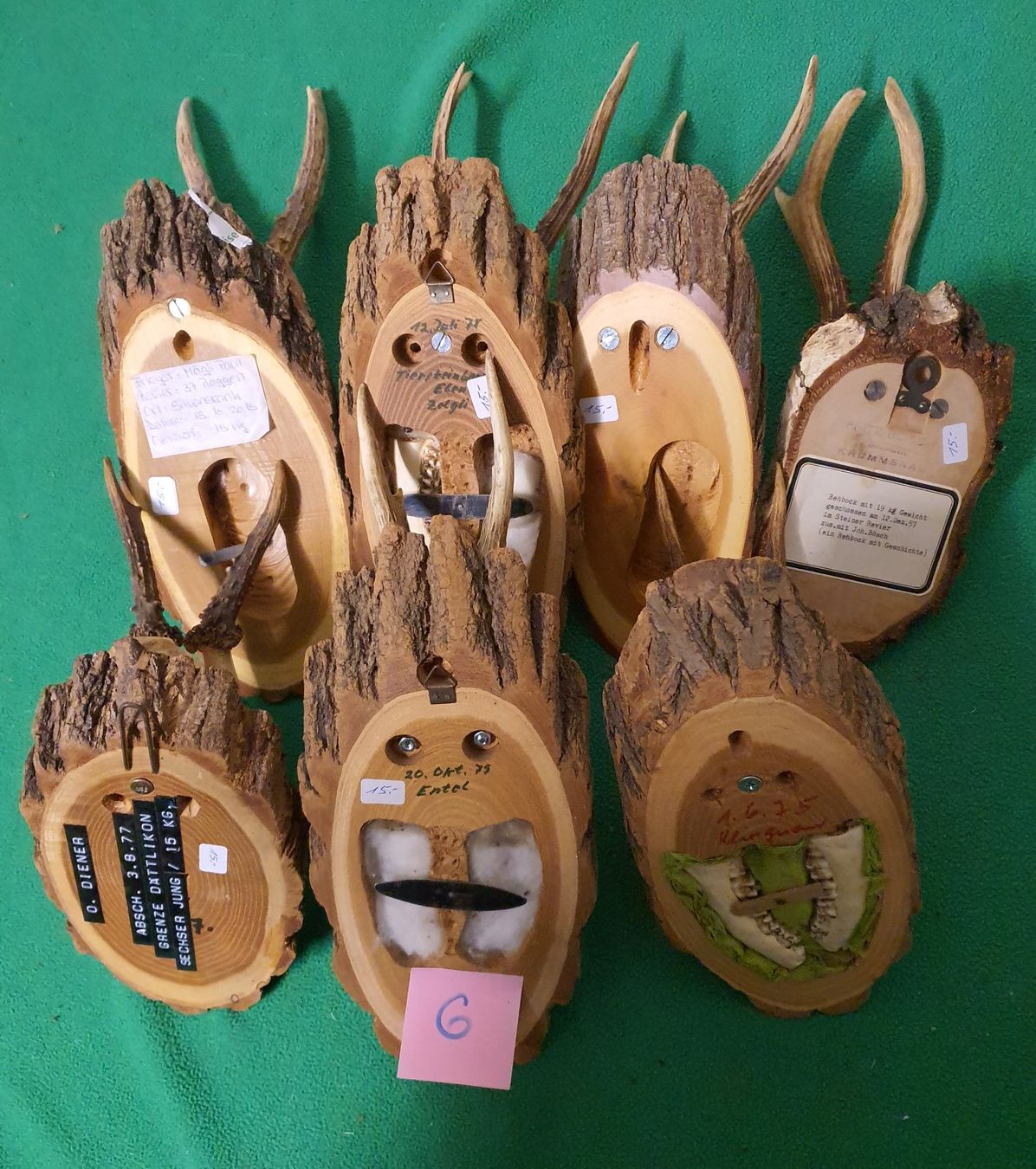 Sonstiges zum Sammeln & Seltenes: JAGD TROPHÄE 7 STÜCK SEHR  Nr 6 SCHÖN – Gebraucht aus Schönenwerd von don1952 1