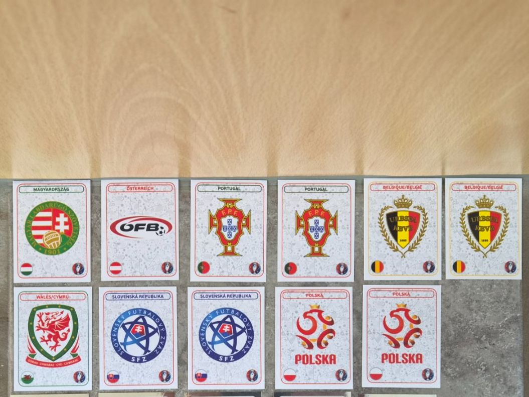 Panini Carte collezionabili: Diverse Panini Bilder Euro 2016 Frankreich – Usato da Kreuzlingen venduto da LeslieBar 1