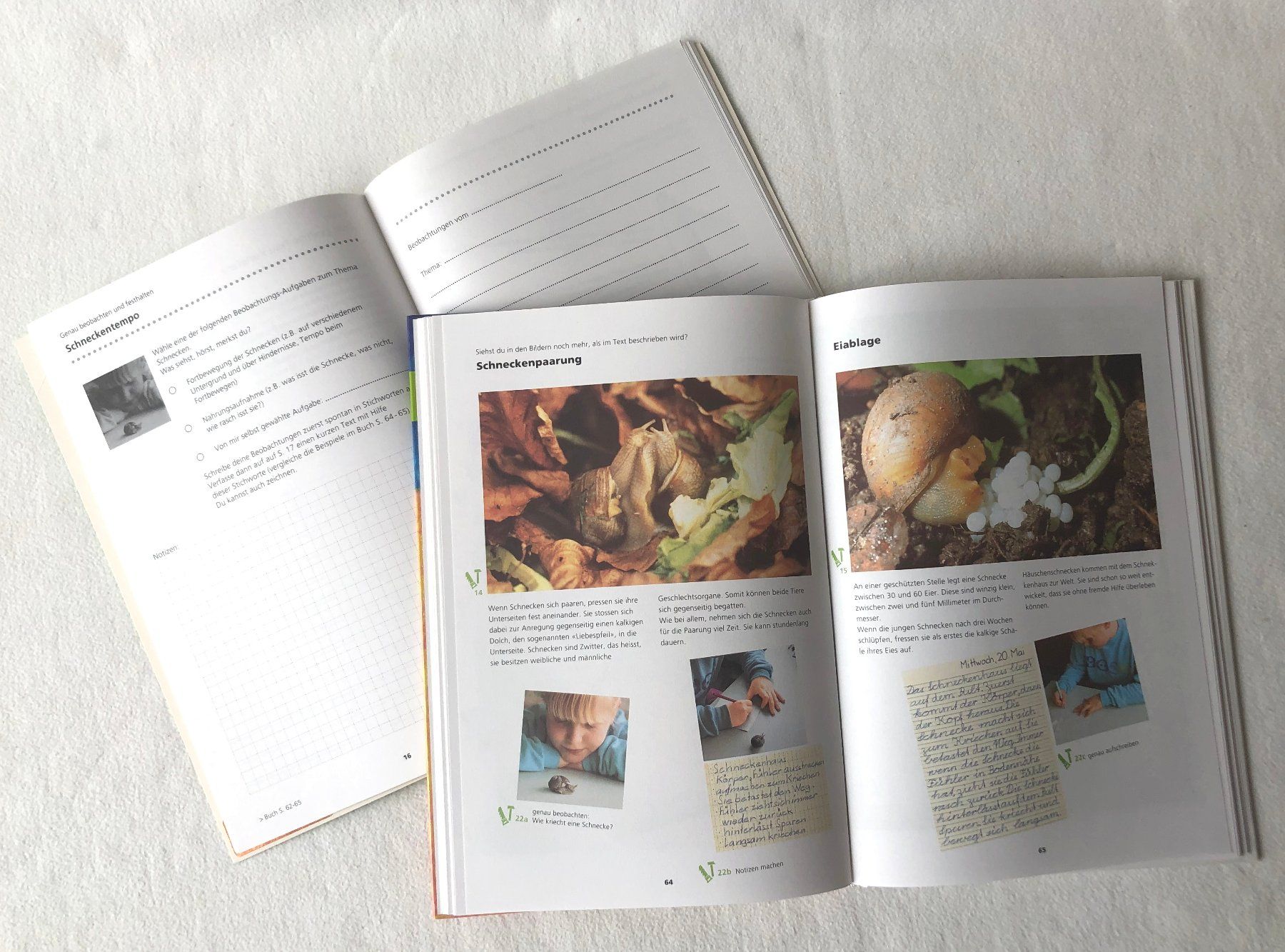 Libri: Schweizer Sprachbuch 4 mit Arbeitsheft – Usato da St.Gallen venduto da Paddington11 3