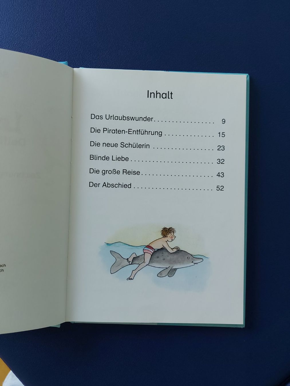 Bücher: Kinderbuch Leselöwen Delfingeschichten – Gebraucht aus VUADENS von momy 2