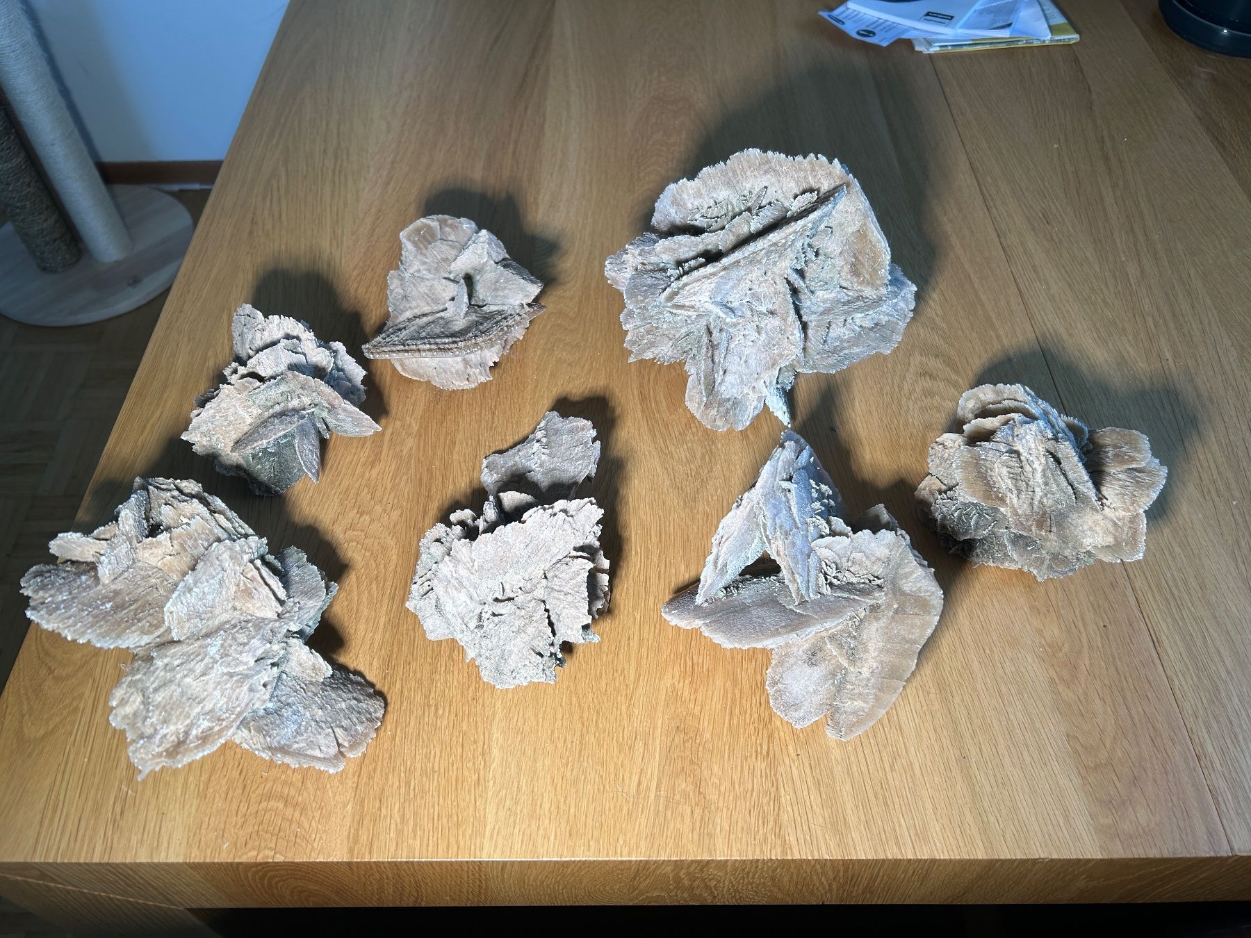 Tutte le decorazioni: Wunderschöne Seerosen Sammlung - 7 Stück - Dekoration – Usato da Uster venduto da tanaweide