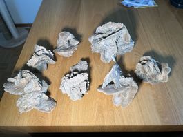 Wunderschöne Seerosen Sammlung - 7 Stück - Dekoration