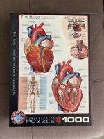 EuroGraphics Puzzle 1000 Teile Smart Cut – Herz & Gefässe
