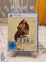 Blacksad Under the Skin PS5 Game