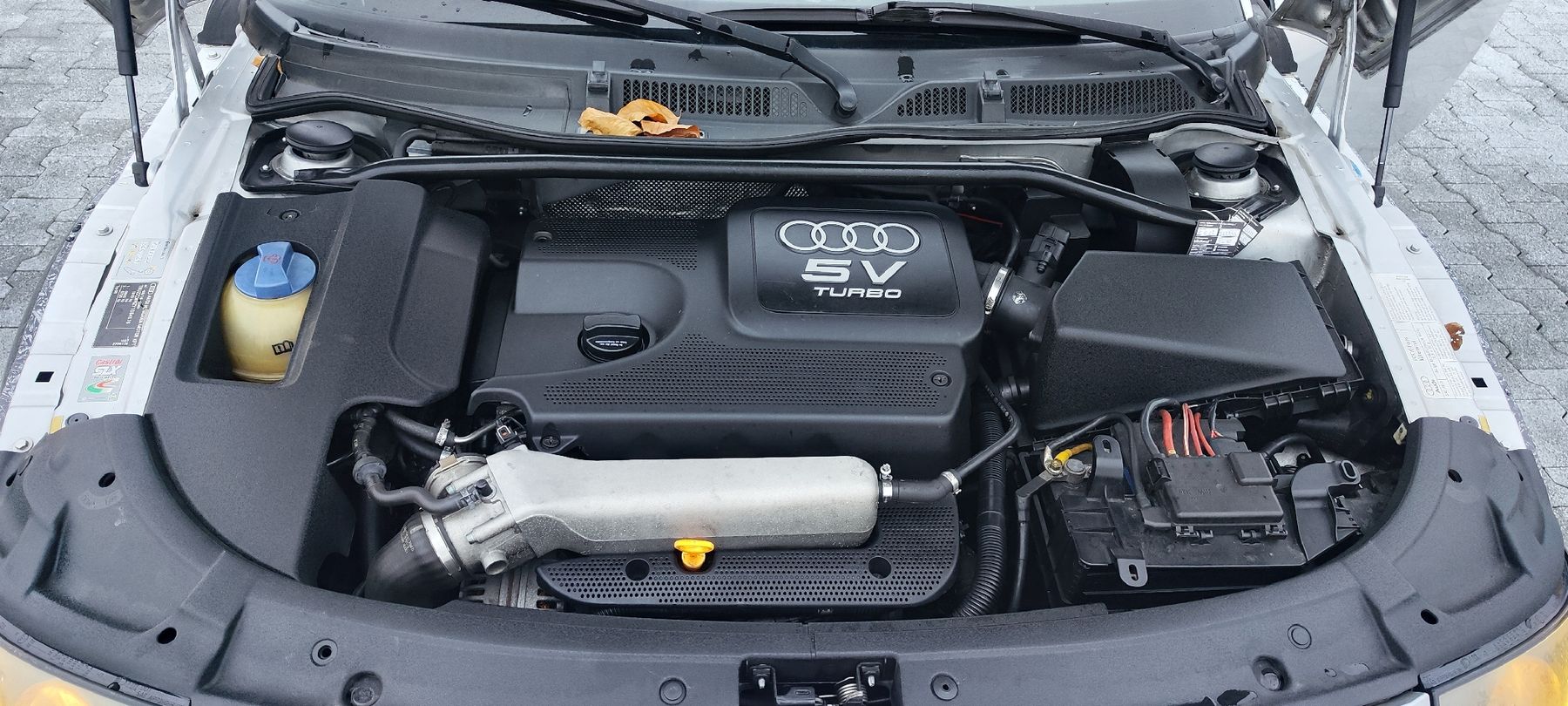 Audi Autos: Audi TT 8n 1.8T – Gebraucht aus Mollis von