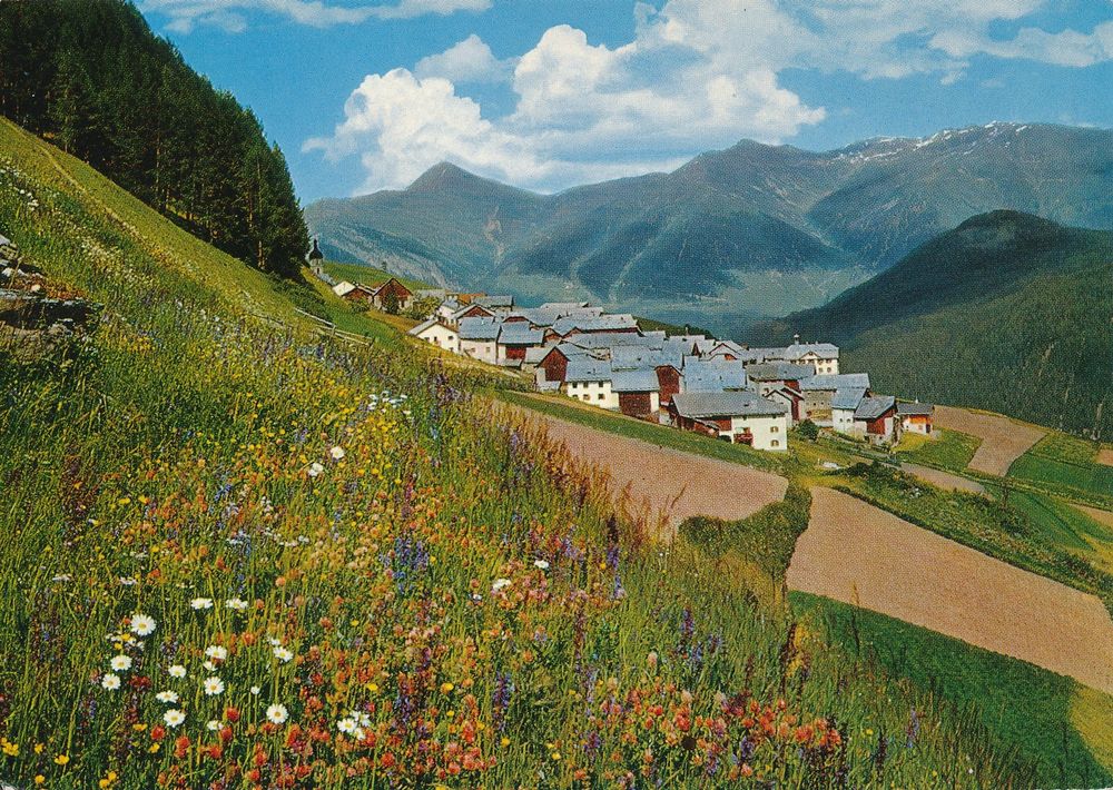 Tschlin Engadin mit schöner Wildwiese gel. 1980 (Gebraucht) in für CHF ...