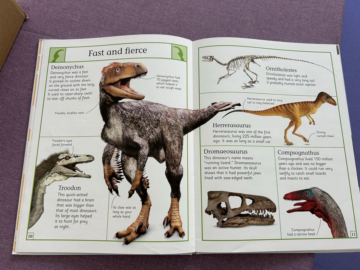 Libri: Dinosaurier Buch (Englisch) – Usato da Heiligkreuz (Mels) venduto da Oldtimerfan03 2