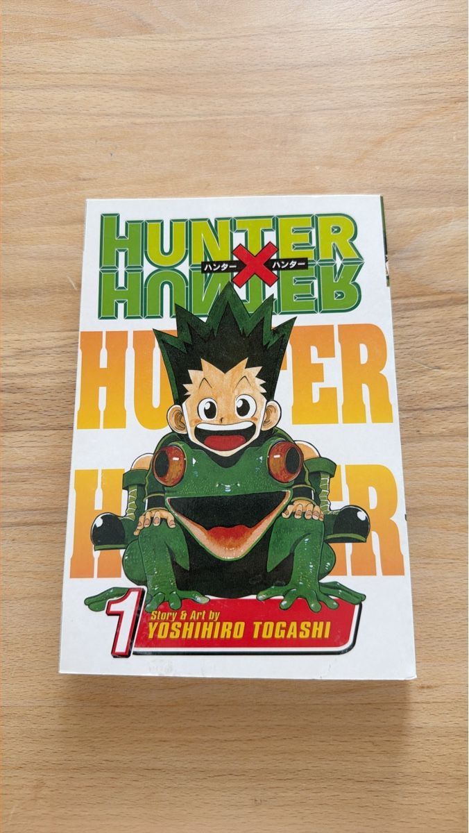 Comics: Hunter x Hunter Manga Band 1 – Gebraucht aus Unterägeri von gio_r5lp
