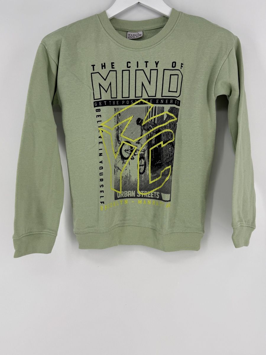Pulls et sweat-shirts: Pullover Gr. 146/152 von Young Idols – D'occasion à Auenstein par moin.