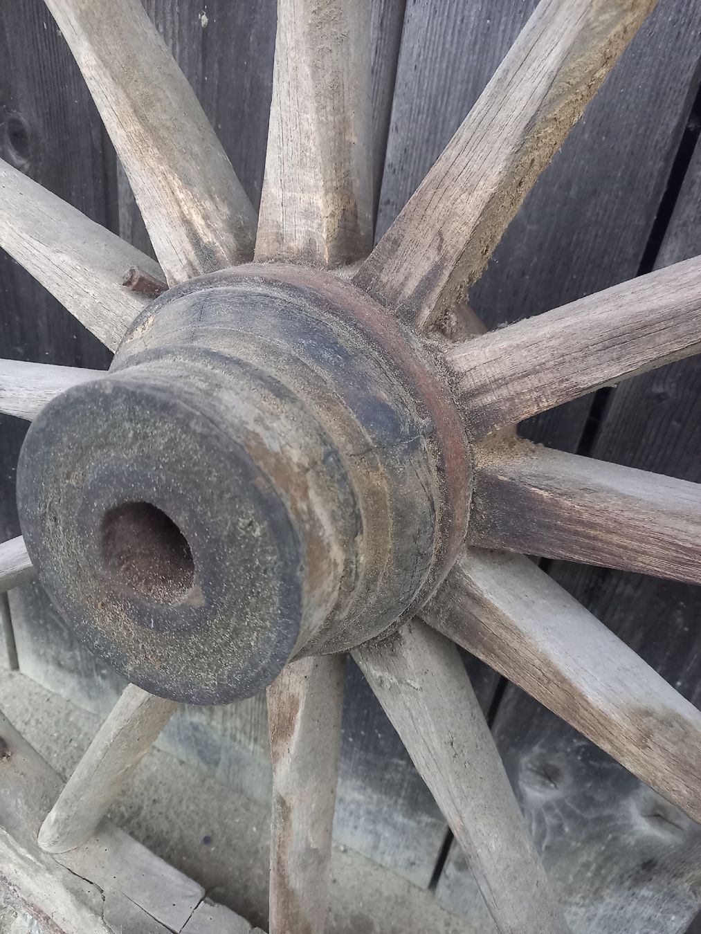 Pneumatici & Ruote complete: Antikes eisenbereiftes Wagenrad – Usato da Galgenen venduto da Allerlei8854 2