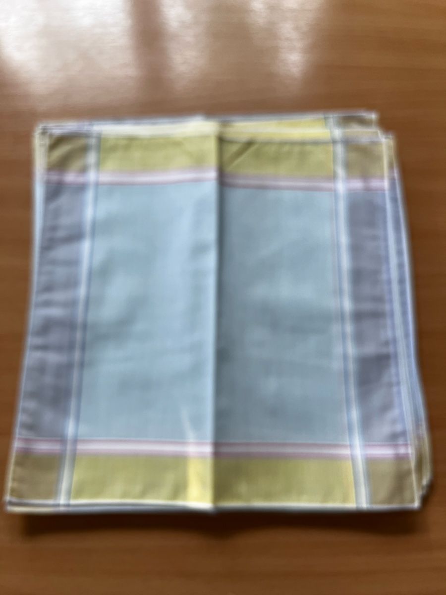 Altro in  Abbigliamento & Accessori: 26 Stk. neue verschiedene Taschentücher – Nuovo (secondo la descrizione) da Sirnach venduto da Gozogo 6