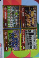 Panini Sticker Set - FWC 11, 12, 17, 19