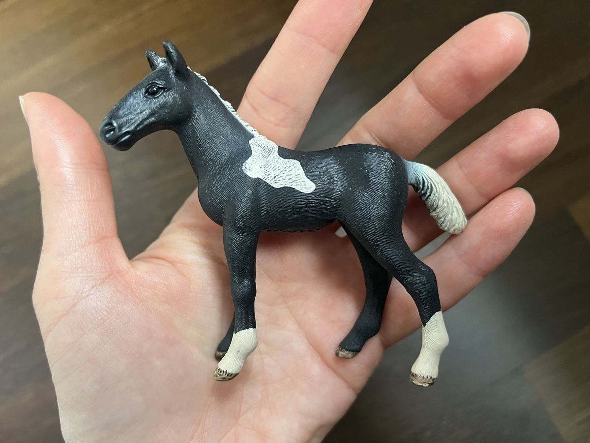 Schleich Giocattoli: Schleich Pferdefohlen 5 Set – Usato da Pfäffikon ZH venduto da mal_xs7b 1