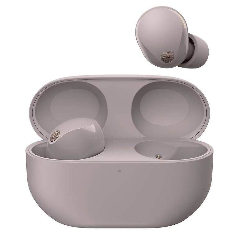Cuffie: Sony WF-1000XM5 – Usato da Niederurnen venduto da rogers93