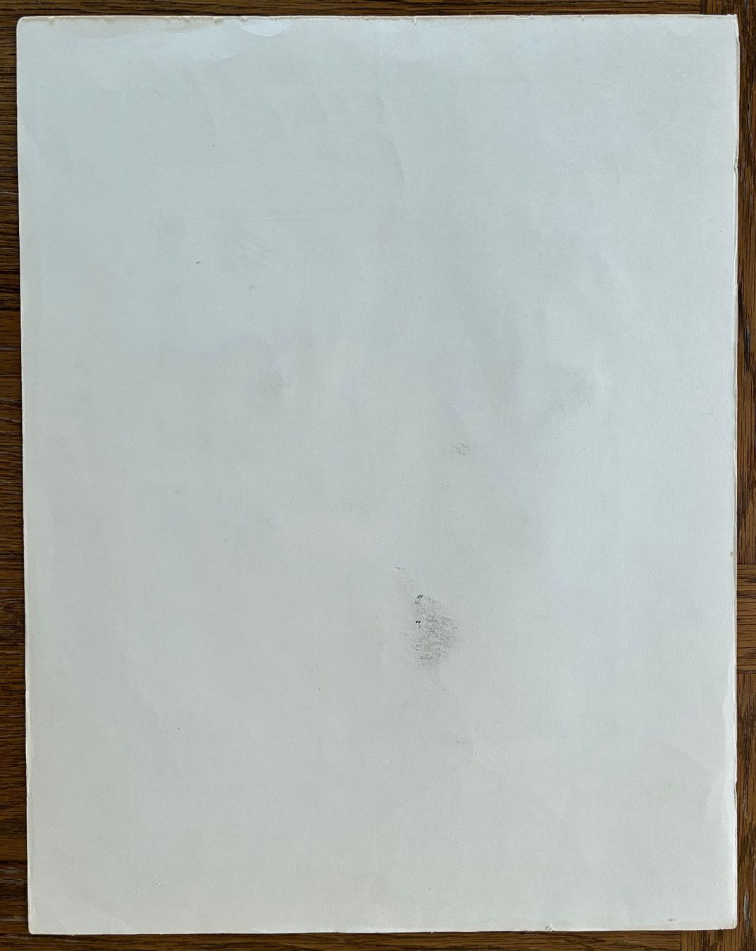 Xilografie: HÜHNER - Signierter Linolschnitt – Usato da Meinisberg venduto da duveen 5