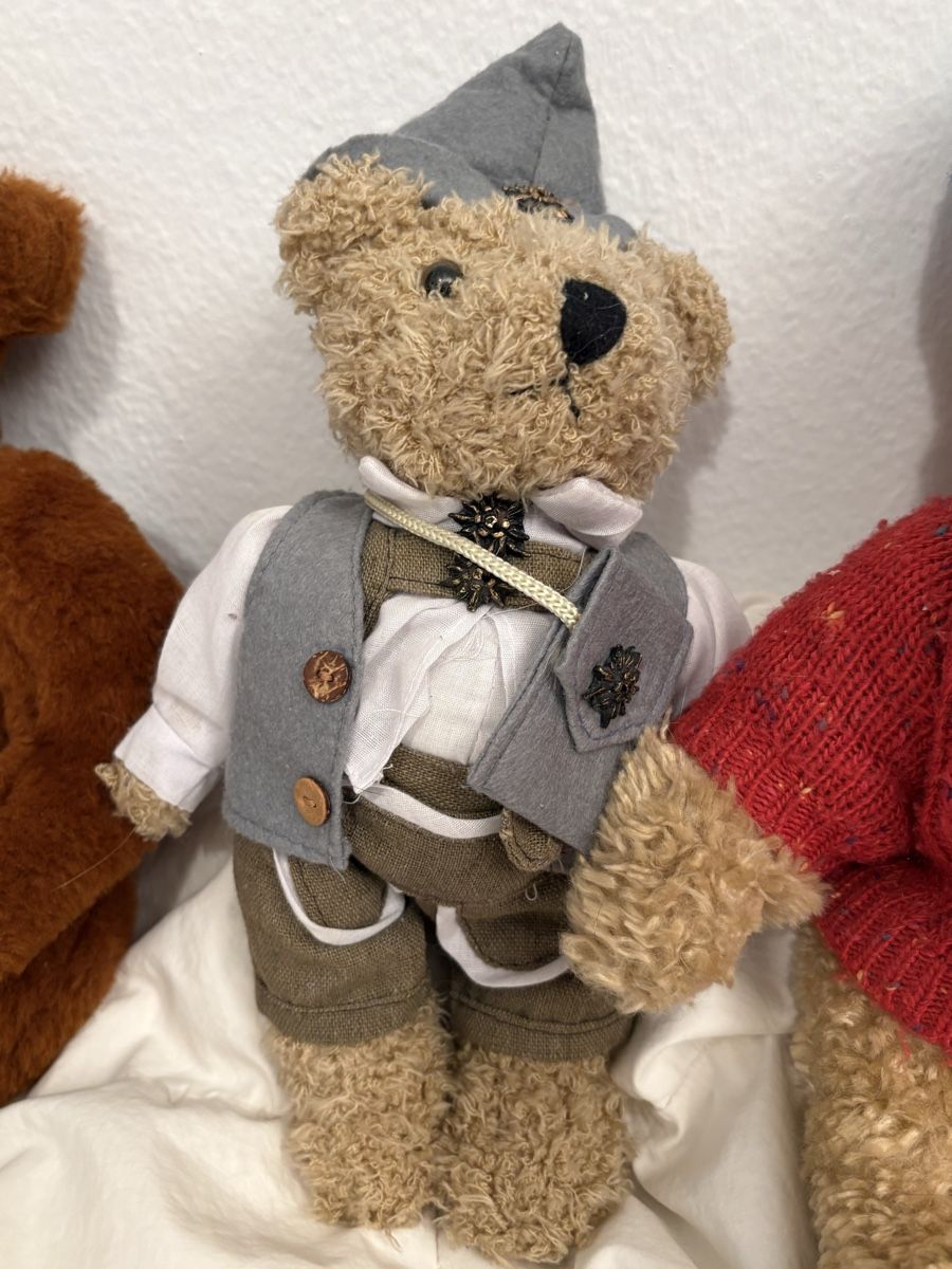 Bambole: Teddys Konvolut – Usato da Bassersdorf venduto da ca.44 2