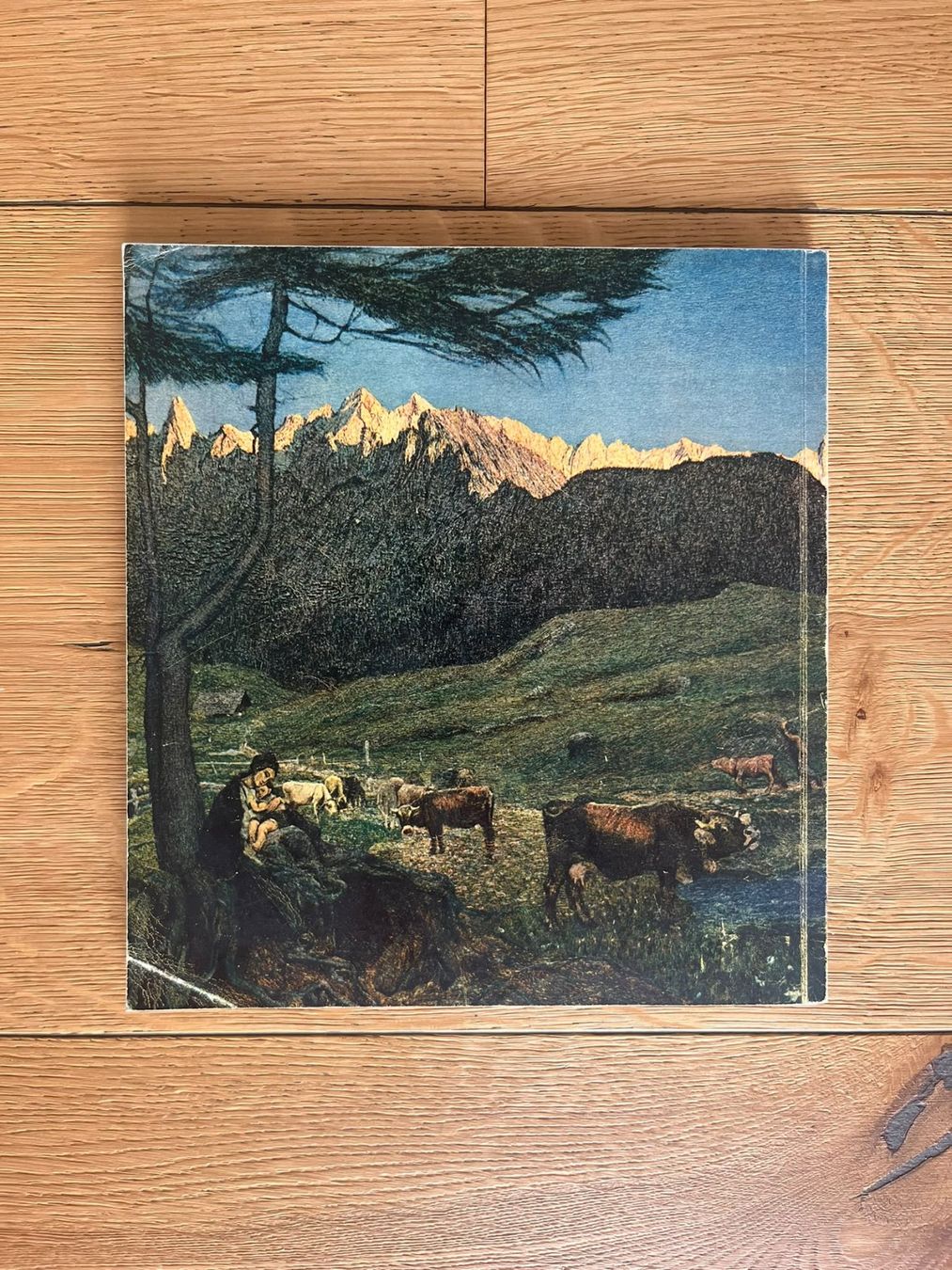 Bücher: Das Heimatbuch – Gebraucht aus Altdorf UR von luk_2p75 6