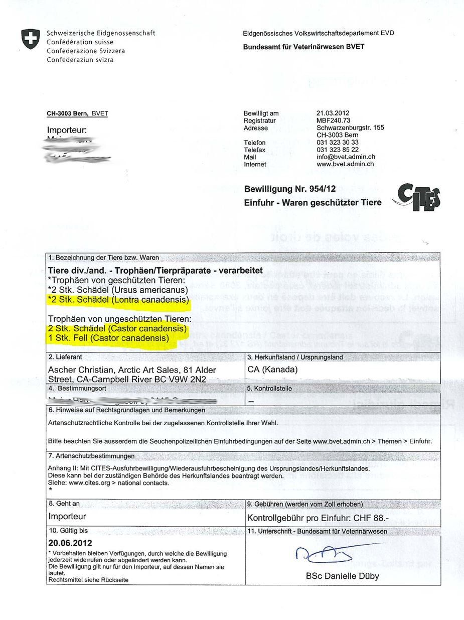 Il mondo degli animali: Echter Otter Schädel - 2011 legal importiert – Nuovo (secondo la descrizione) da Thun venduto da Abalona3600 6