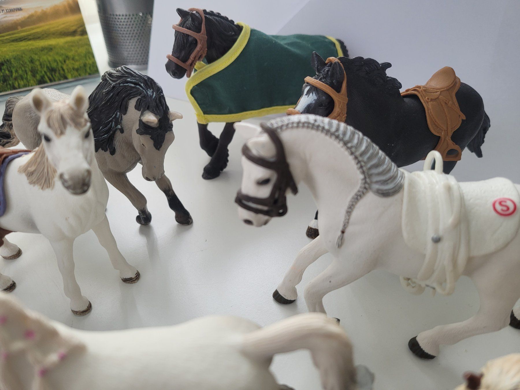 Schleich Statuette: Schleichtiere 10 Stück – Usato da ennenda venduto da popcorn007 3