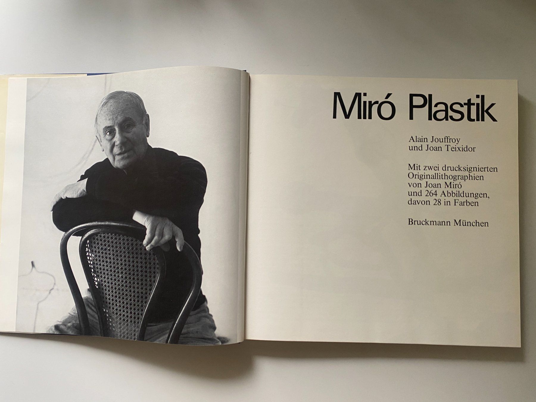 Libri: Buch Miro, Plastik – Usato da Gümligen venduto da Vicky2 1