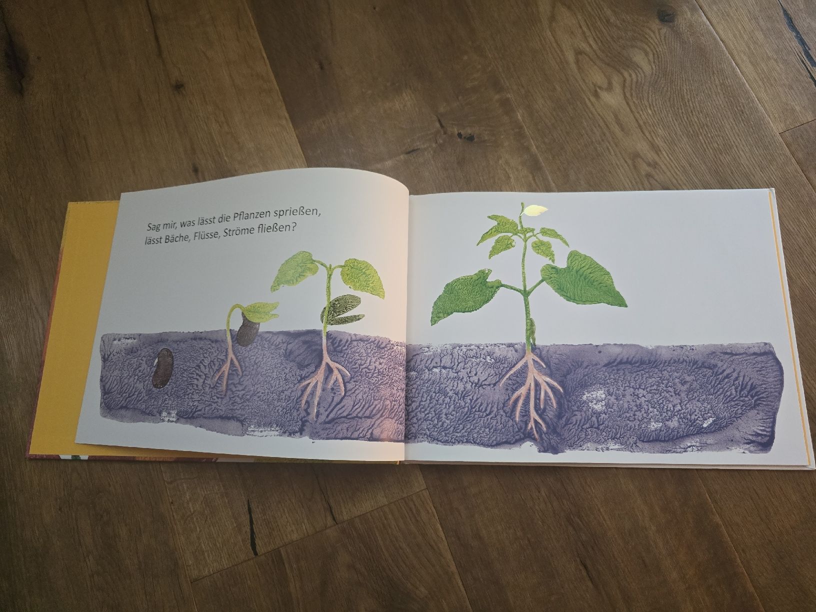 Bücher: Kinderbuch "Was macht die Farben bunt?" Marcus Pfister – Gebraucht aus Wittenbach von Tigerlili 1