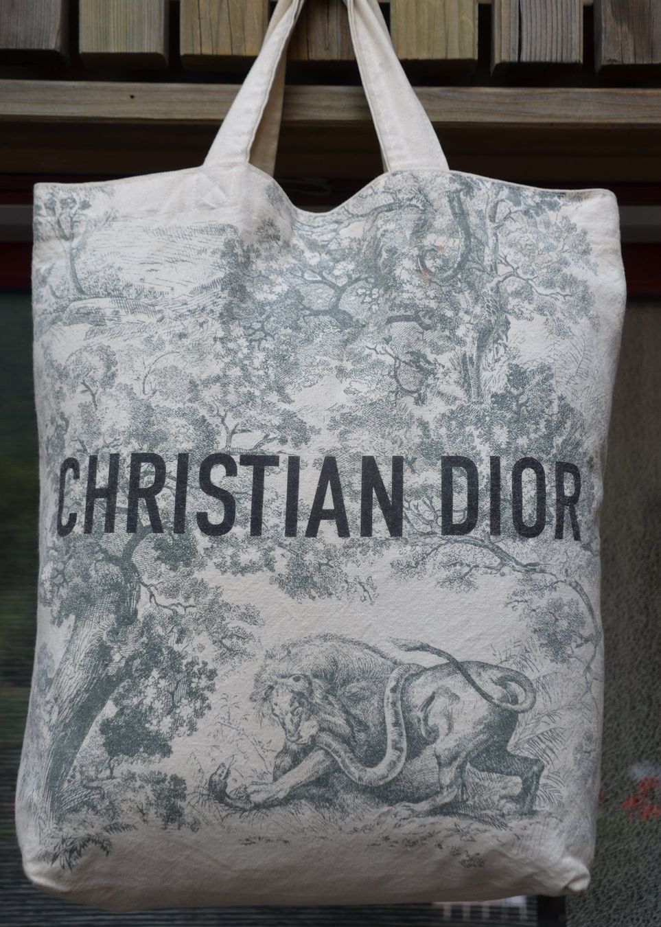 Dior Borse: Christian Dior Diorodeo Tote Tasche / sac – Usato da Collonges venduto da Auganien