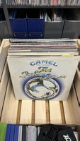 Plattensammlung 36 LPs 6Maxis div. Musikrichtungen 