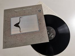 STEPHAN MICUS -  WINGS OVER WATER