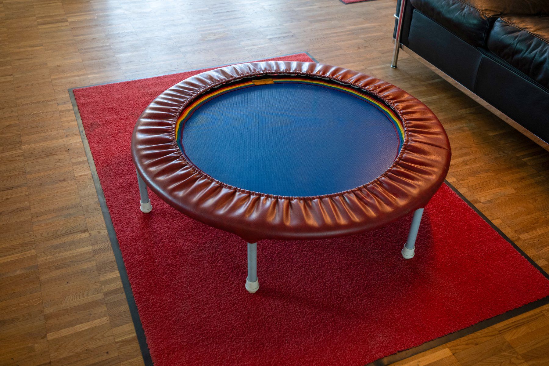 Trampolini: Original Trimilin USppmat Minitrampolin 103 cm – Usato da Lengnau BE venduto da riodac 1