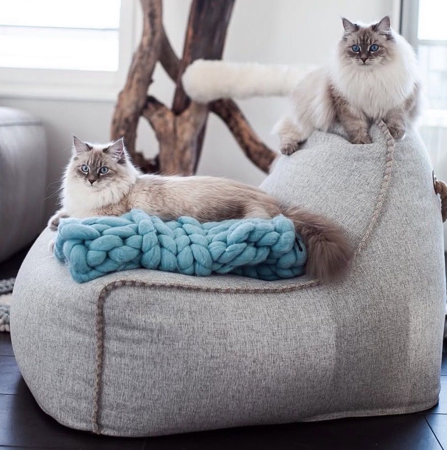 Sedie: SACKit Canvas Lounge Sitzsack Grau – Usato da Baden venduto da jessicachrist