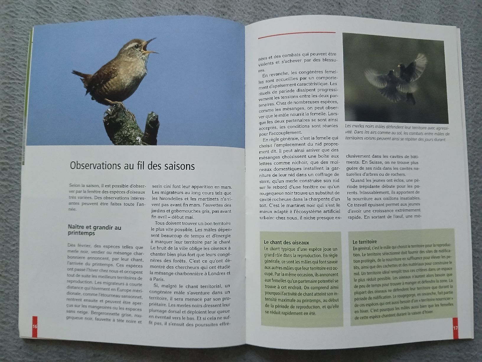 Libri: Livre "Oiseaux de nos jardins" – Usato da Le Sentier venduto da arc_2thy 7