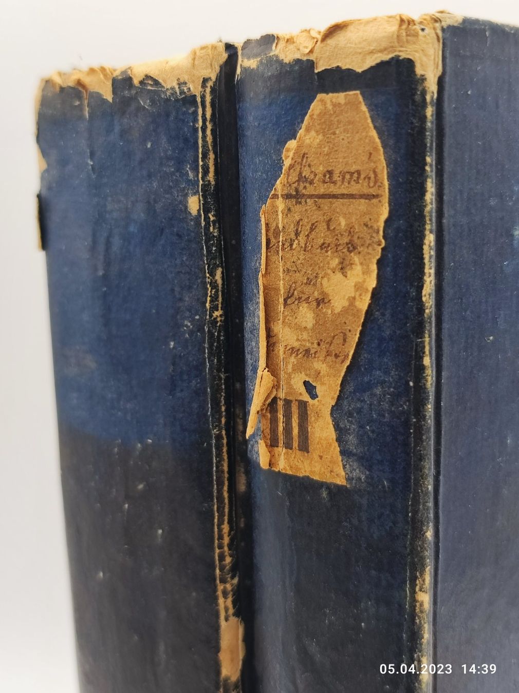 Libri: BAUKUNDE - ZIMMERWERKS-KUNST – Usato da Goldach venduto da Gaip 7