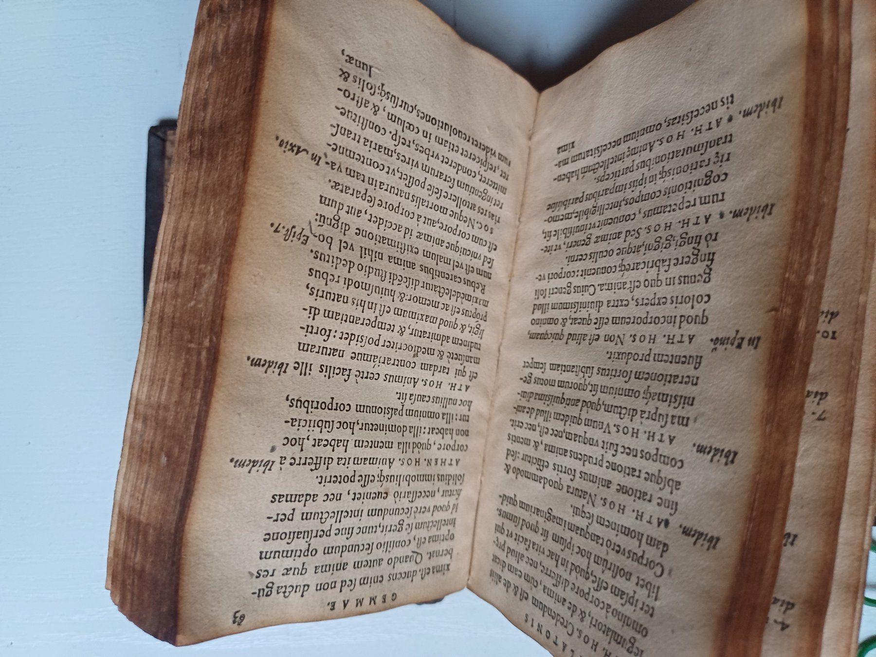 Libri: Altes Buch 500 jahre alt – Difettoso da Zürich venduto da regaflo 1